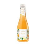 Katlenburger Mango 200ml 